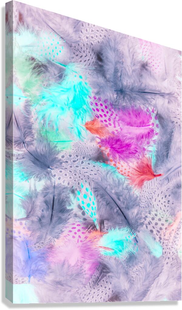 Pastel plumes Canvas Print