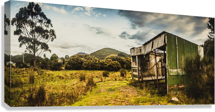 Rural abandoned shed in old rural countryside Canvas Print