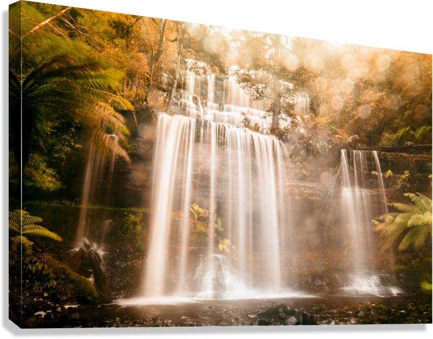 Fall of autumn  Canvas Print