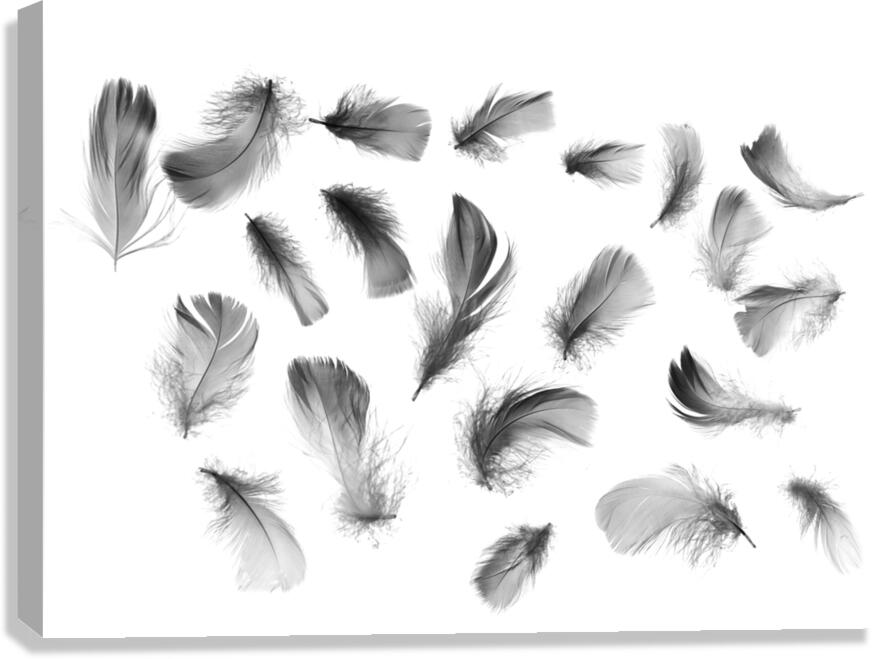 Airy convergence Canvas Print