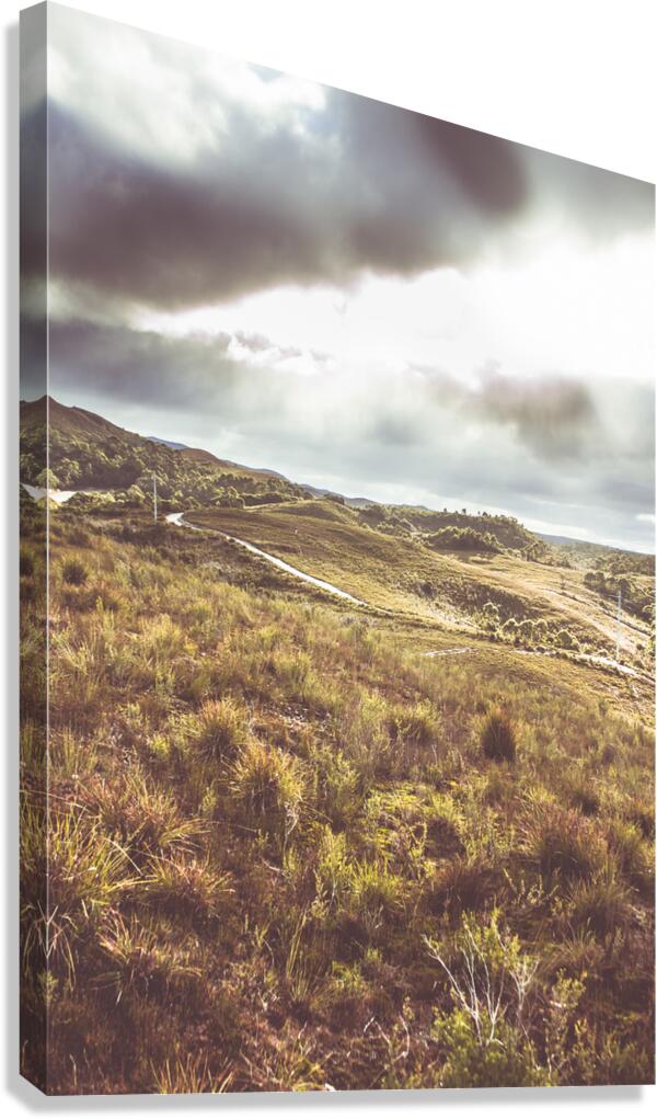 Afternoon pastures  Canvas Print