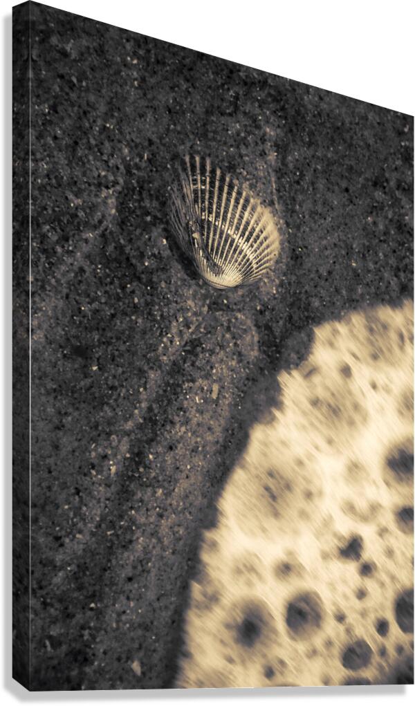 Ocean Rush Canvas Print