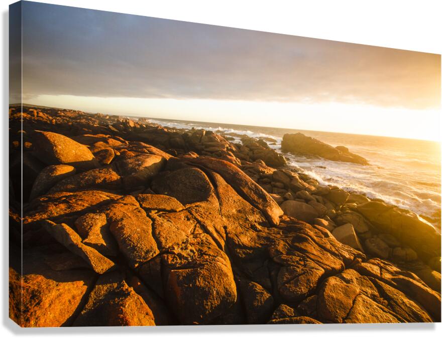 Golden sunset coast Canvas Print
