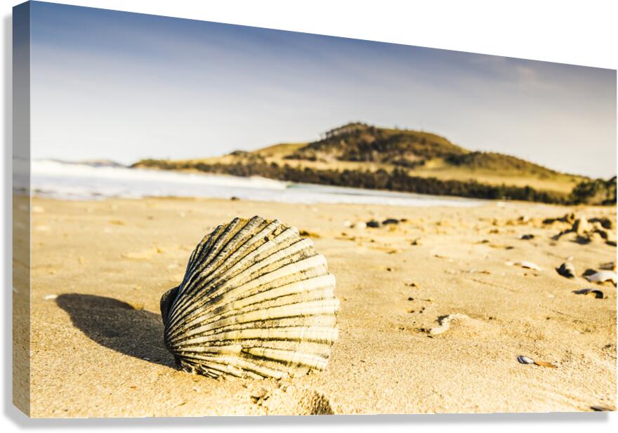 Seven Mile Beach Canvas Print