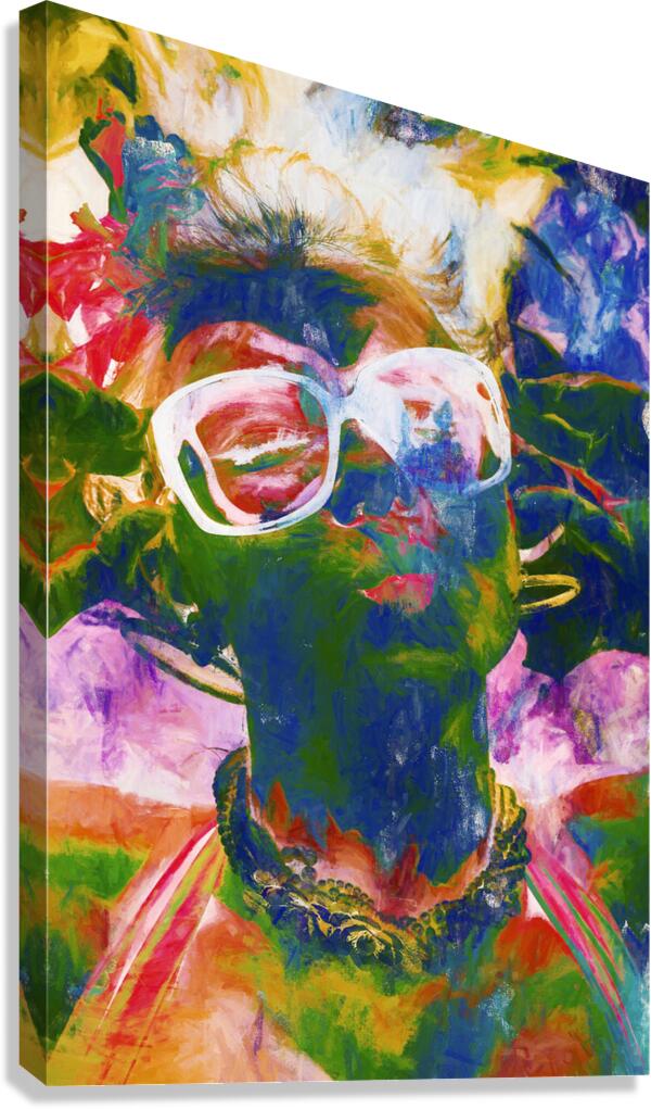 Paint splash pinup art Canvas Print