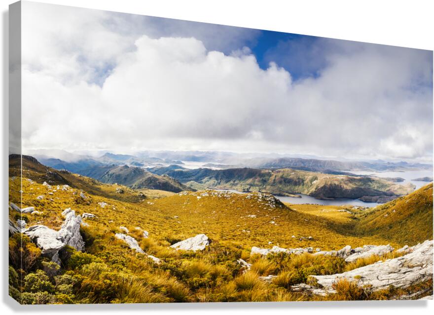 A range of colours Canvas Print