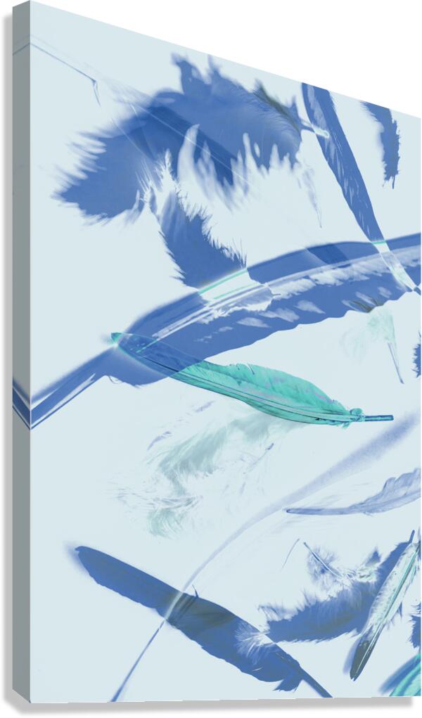 Blue toned artistic feather abstract Canvas Print