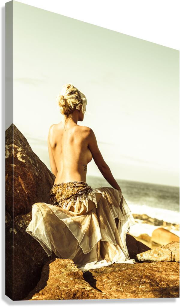 Elegant classical beauty  Canvas Print