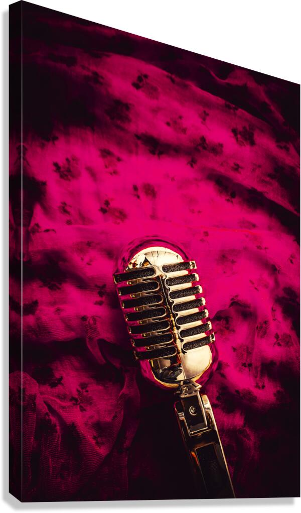 Velvet jazz show Canvas Print