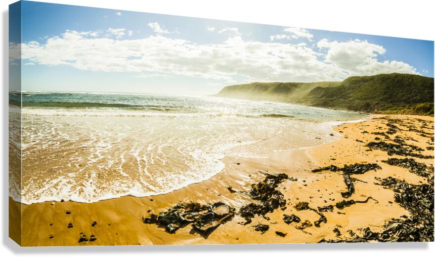 Tranquil Tasmanian beach paradise Canvas Print
