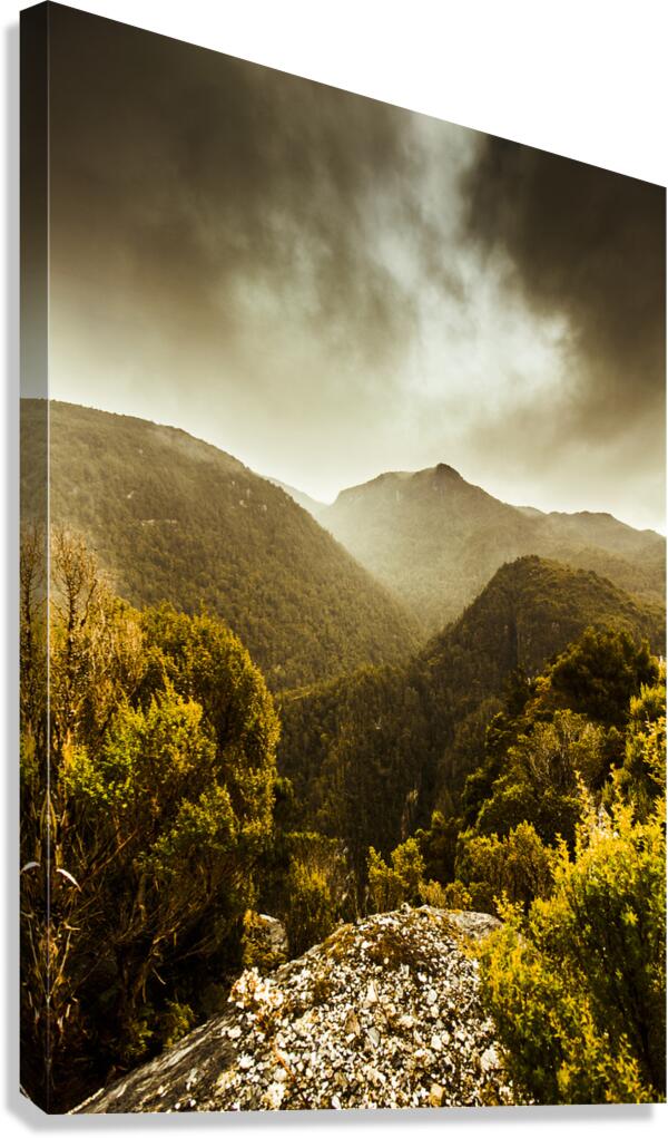 Foggy mountainous forest Canvas Print