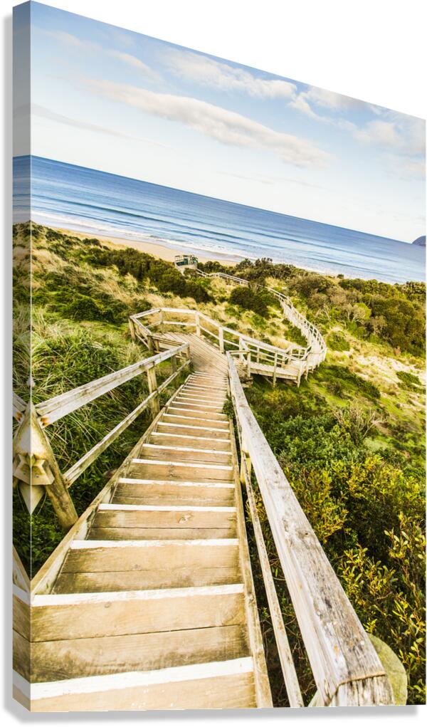 Way to Neck Beach Canvas Print