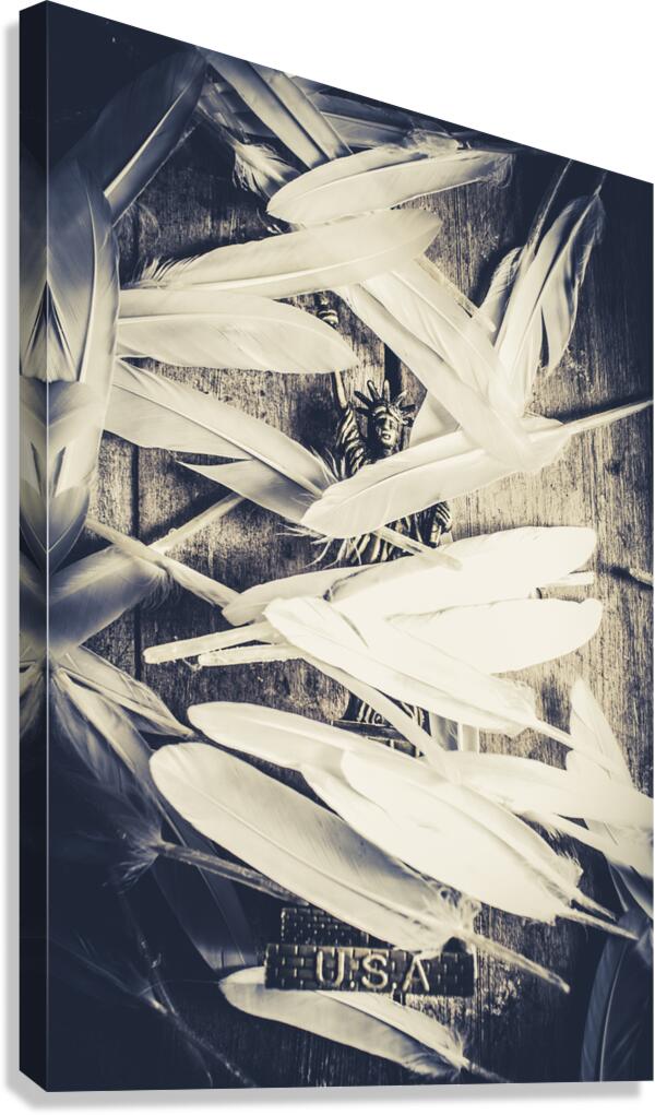 Feathers of freedom and the statue of liberty Canvas Print