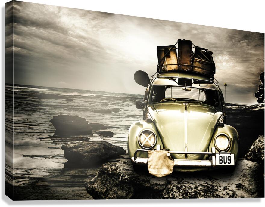 The travel bug Canvas Print