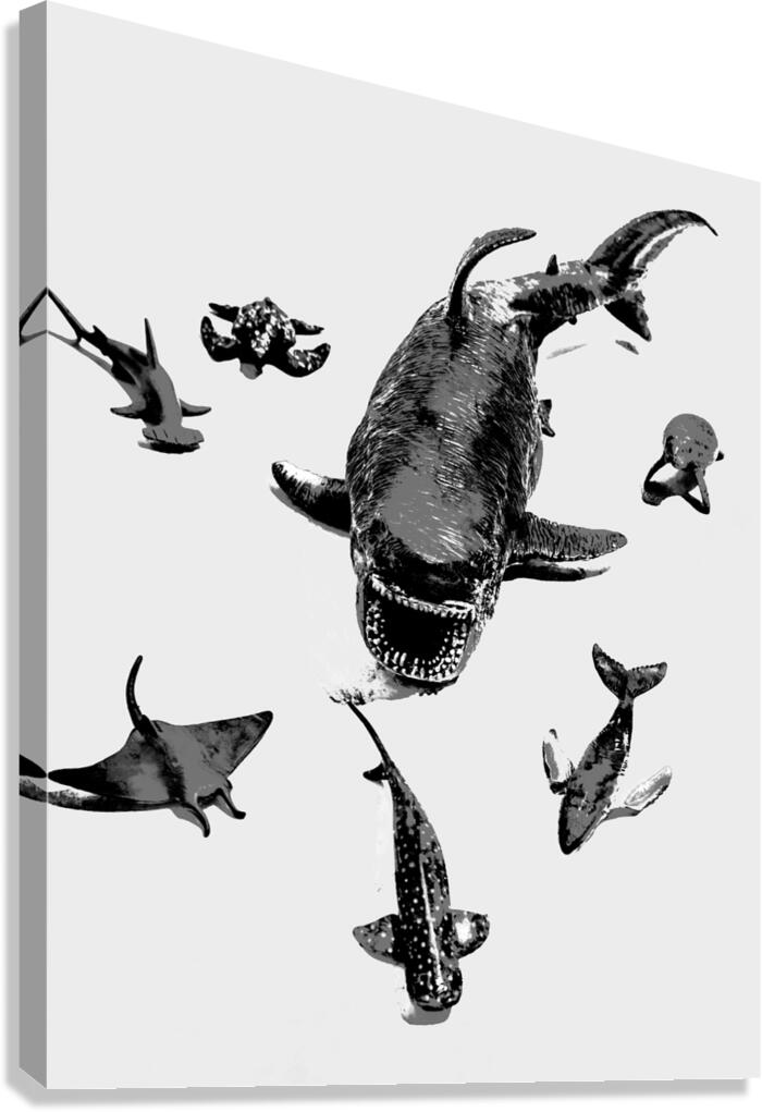 Greywaters  Canvas Print