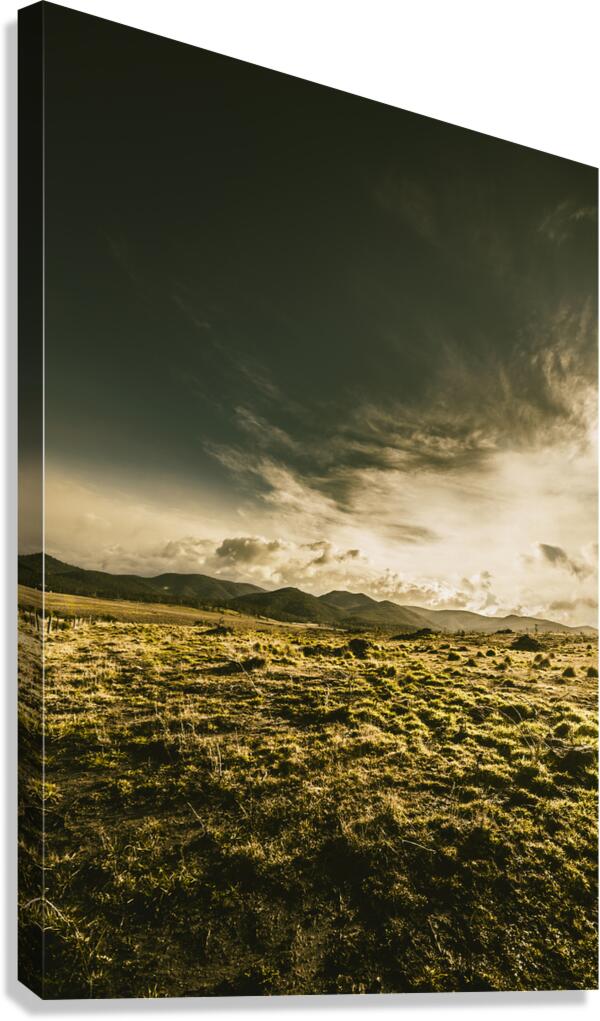 Mountain grassland Canvas Print