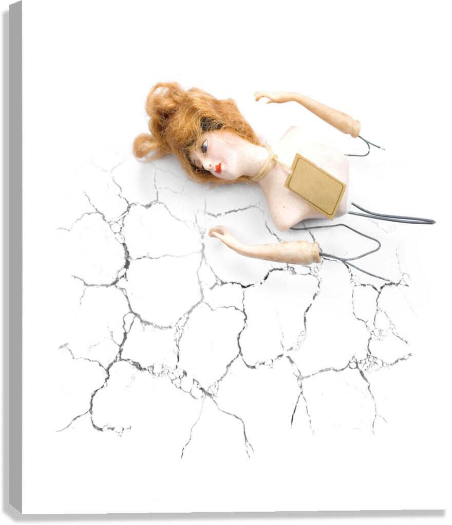 Duchess Canvas Print