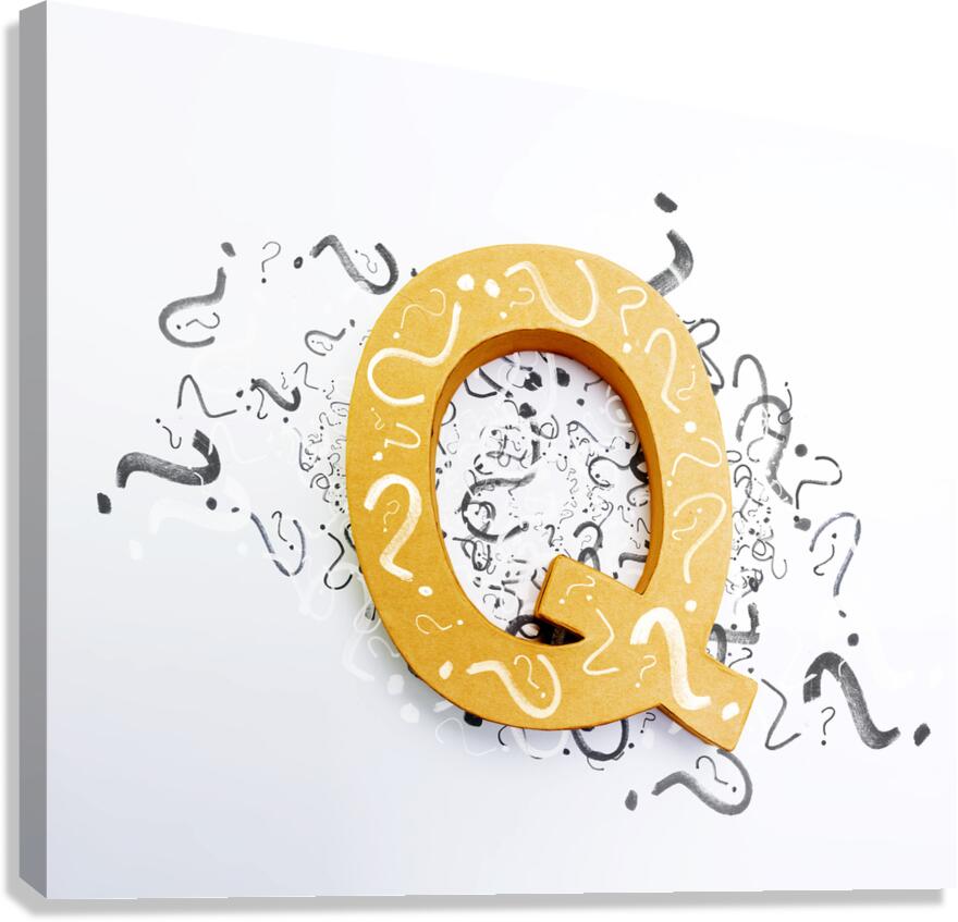 Questions in need of answers on white background Canvas Print