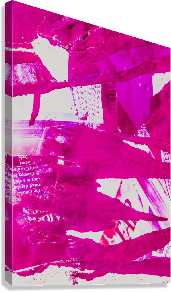 Pink and peel Canvas Print