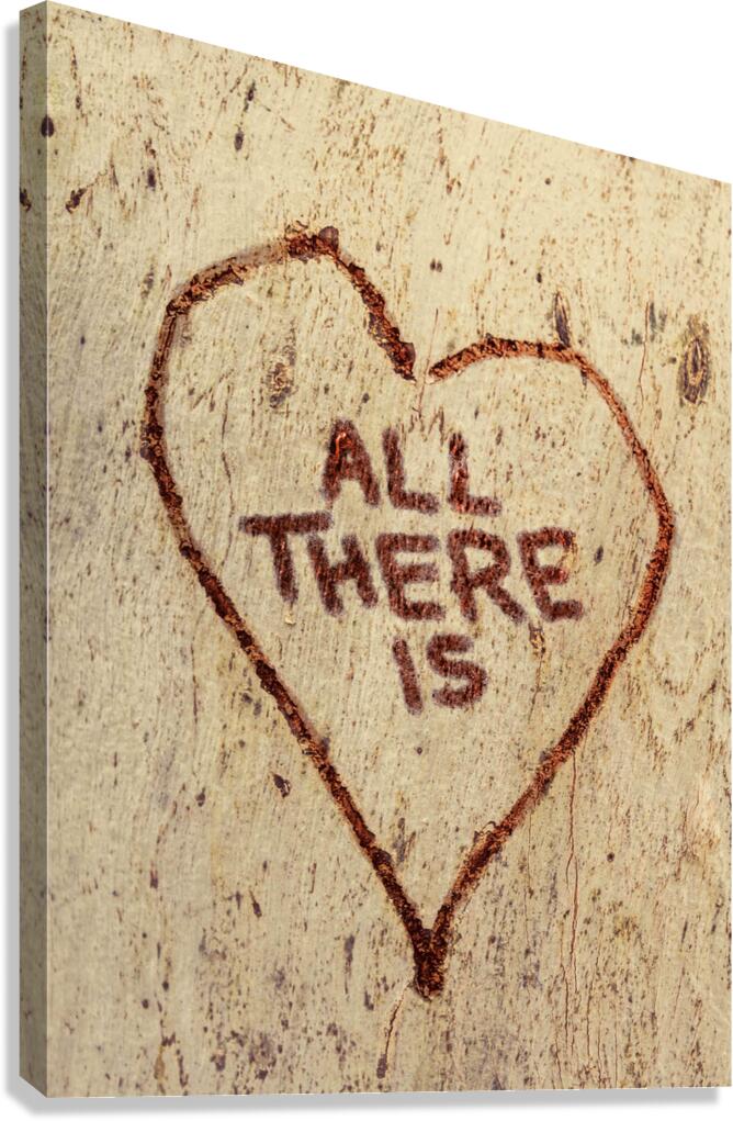 All There Is Canvas Print