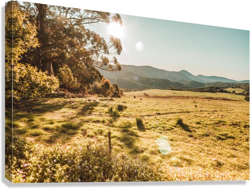Meadows and mountains Canvas Print
