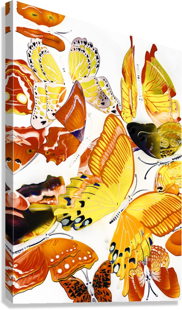 Summers design Canvas Print