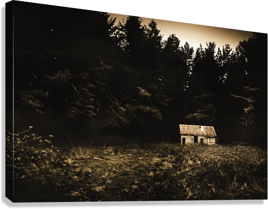Beauty in dilapidation Canvas Print