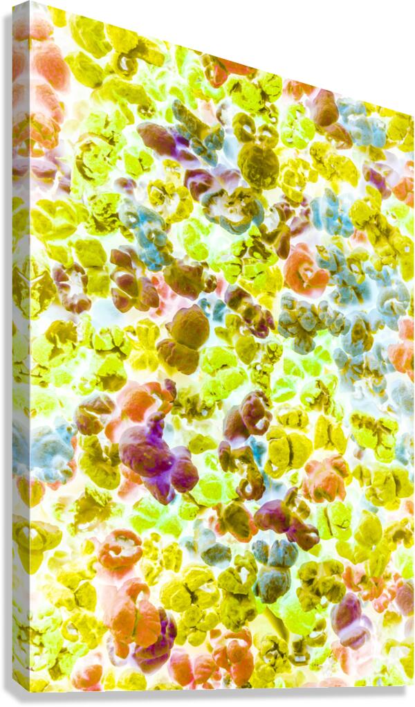Movie munchies Canvas Print
