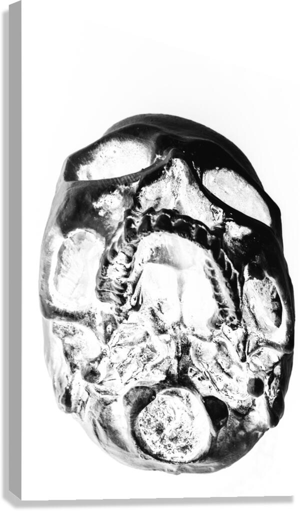 Skulls and dental records Canvas Print