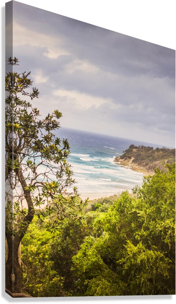 Paradisaical  Canvas Print