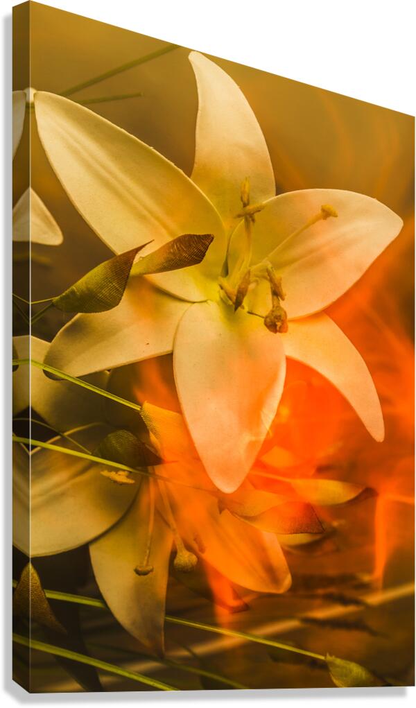 Flames of intimacy Canvas Print