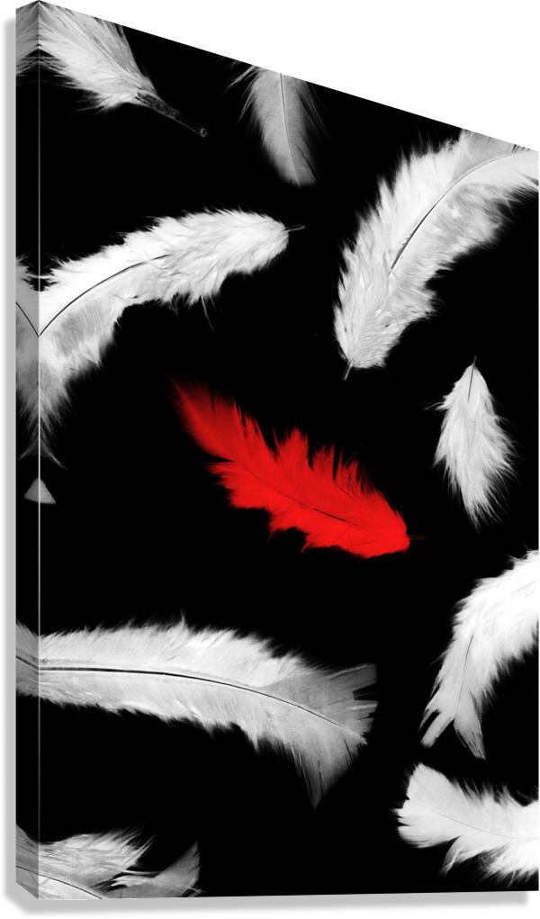 A different design Canvas Print