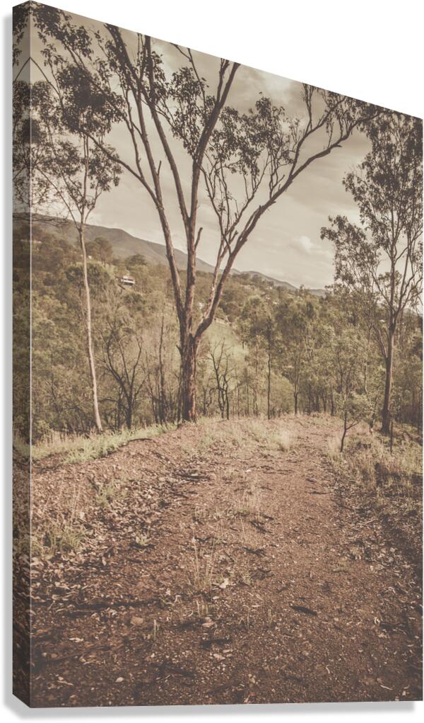 Calming country Canvas Print