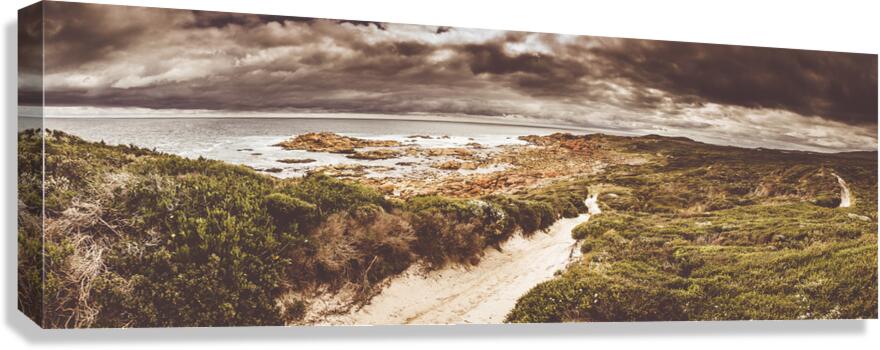 Trail to Western Tasmania Canvas Print