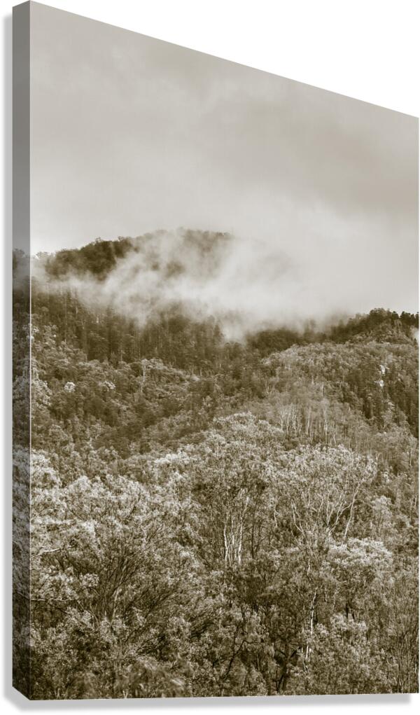 Misty mountains Canvas Print
