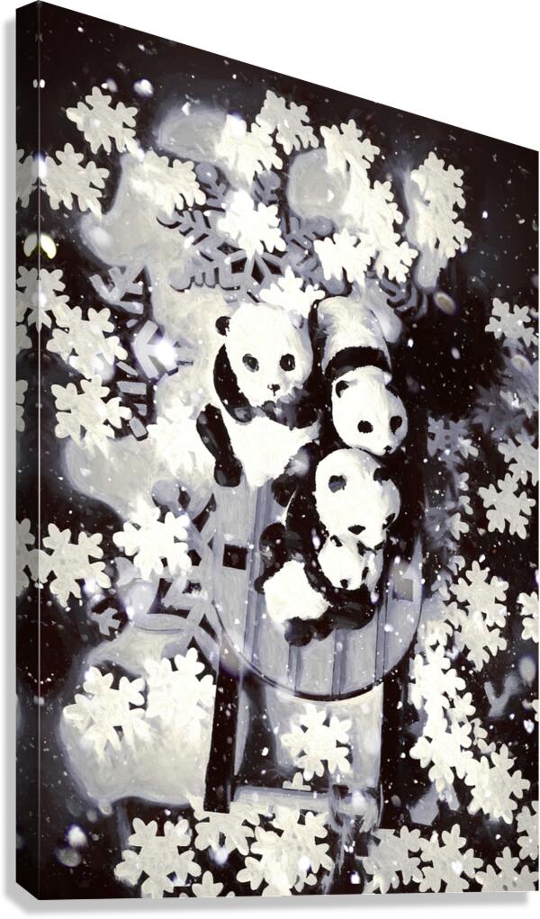 Frosty fun Canvas Print