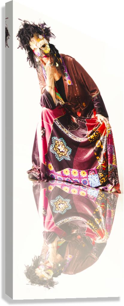 Reflecting a disguise  Canvas Print