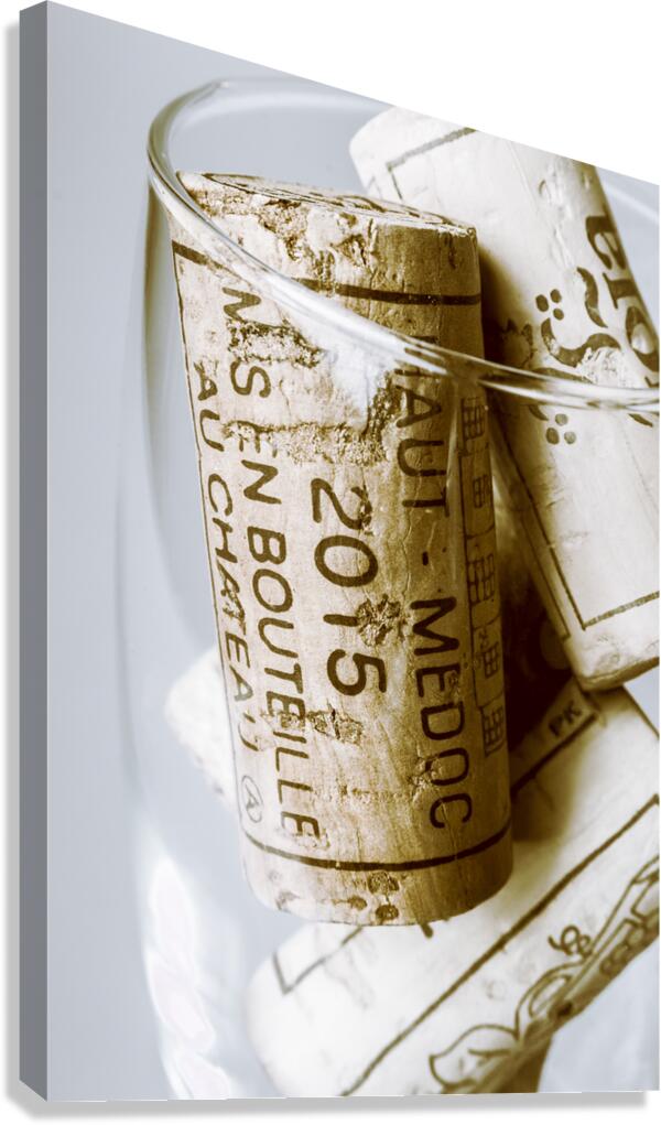 Fine wine glass Canvas Print