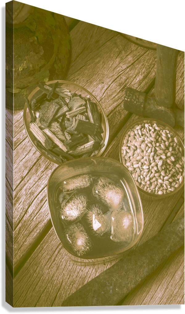 Chips off the old barrel Canvas Print