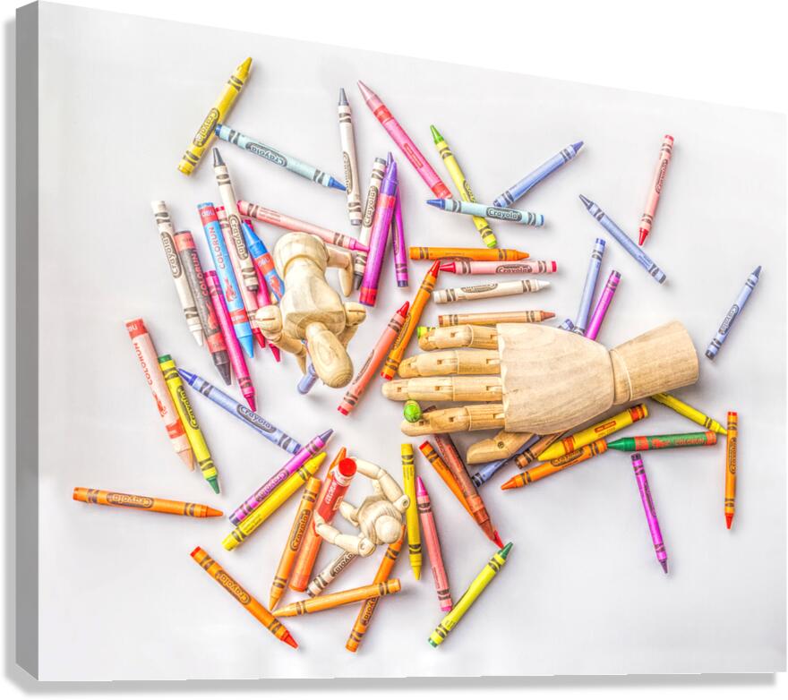 Drawn to life Canvas Print