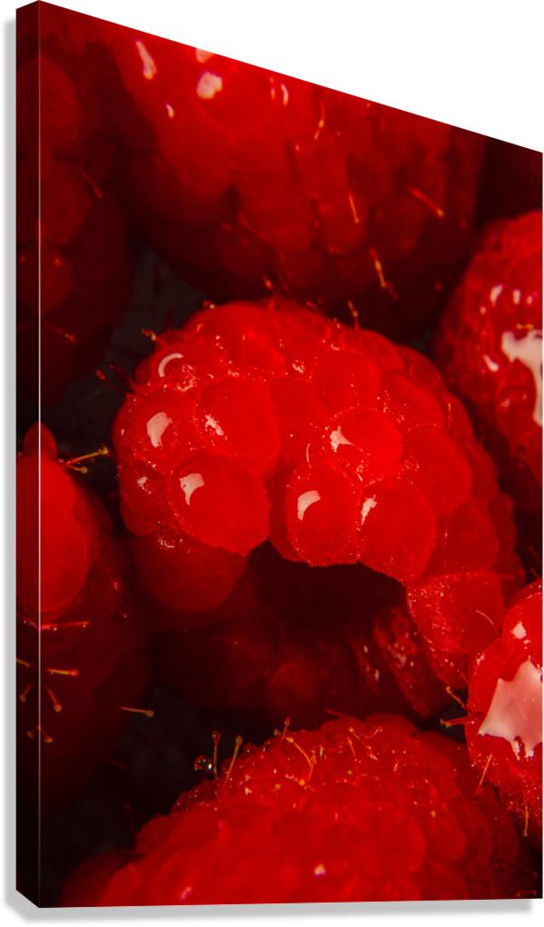 Raspberry macro Canvas Print