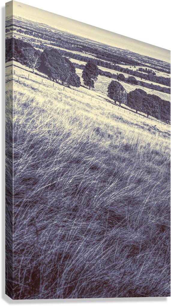 Kingaroy country Canvas Print