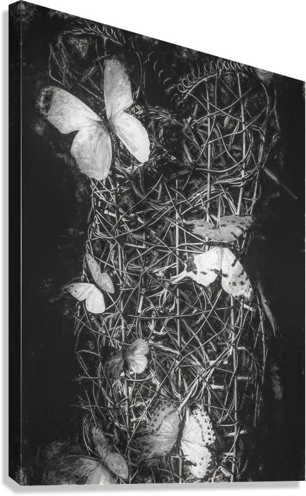 Desimilation  Canvas Print