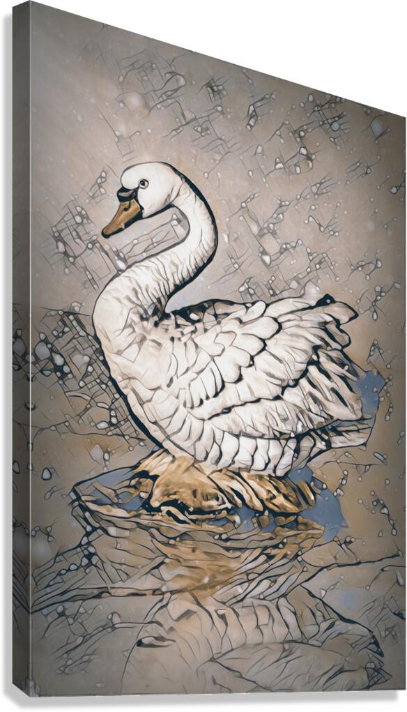 Reflective synopsis  Canvas Print