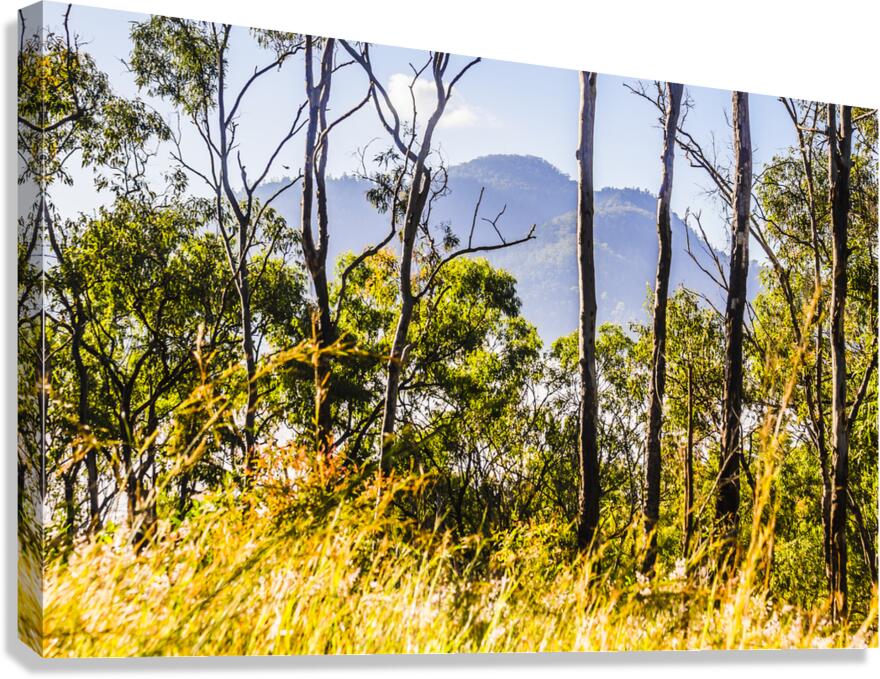 Mount Perry Canvas Print