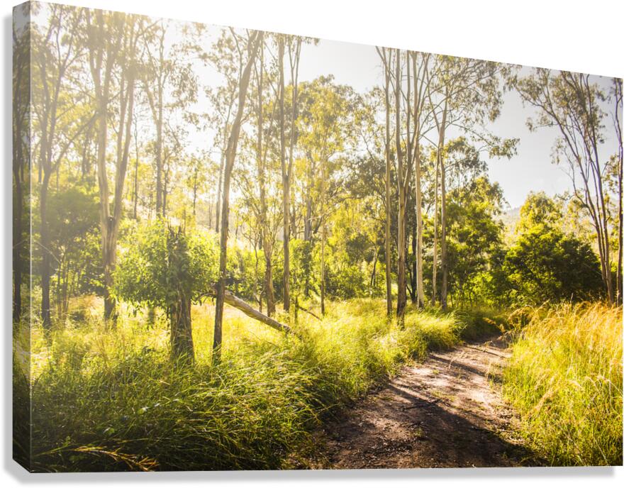 Nature Lovers Lane Canvas Print