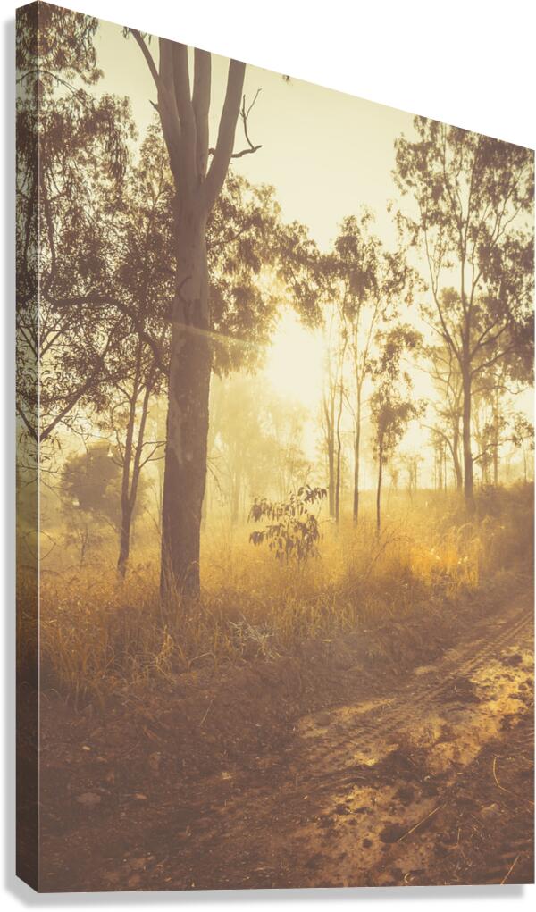 Dirt Road Dawn Canvas Print