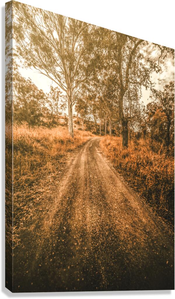 Bucolic Backroad Canvas Print