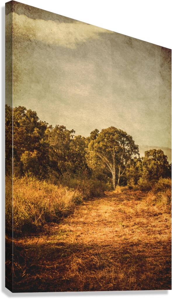 Country Weathered Canvas Print