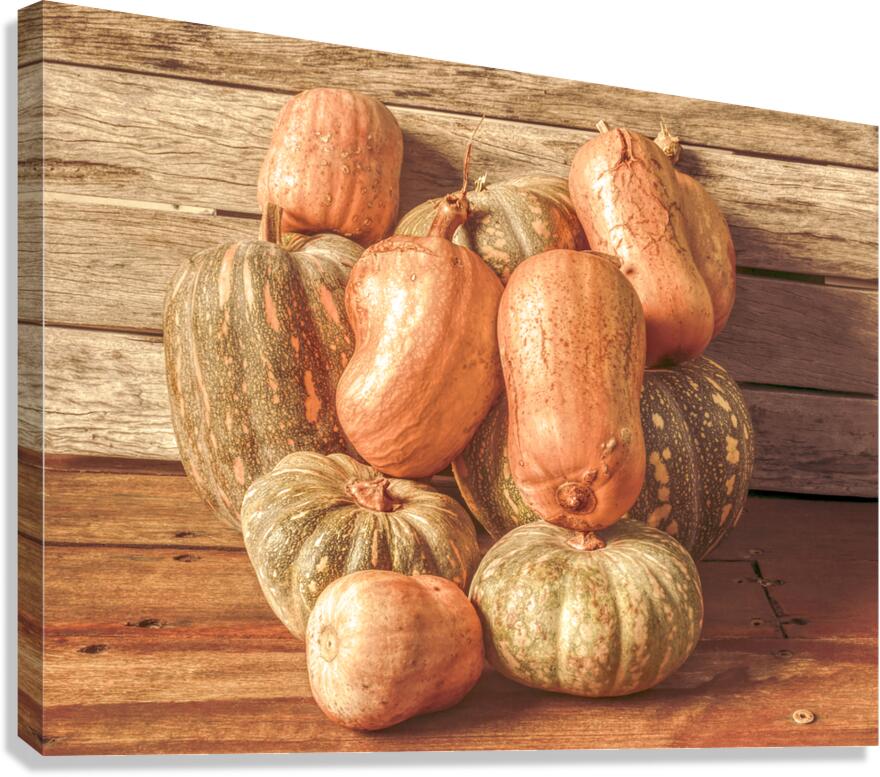 Gourd Almighty Canvas Print